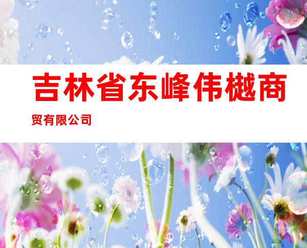 吉林省东峰伟樾商贸有限公司