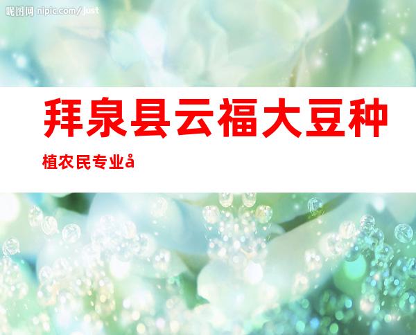 拜泉县云福大豆种植农民专业合作社