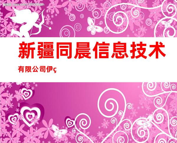 新疆同晨信息技术有限公司伊犁分公司